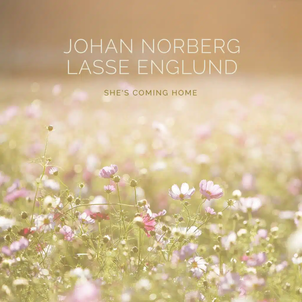 Johan Norberg & Lasse Englund
