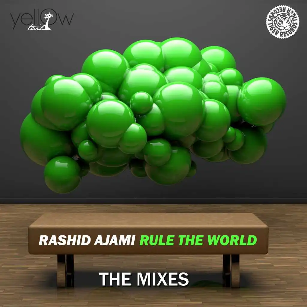 Rule the World (Maya Jane Coles Remix Edit)