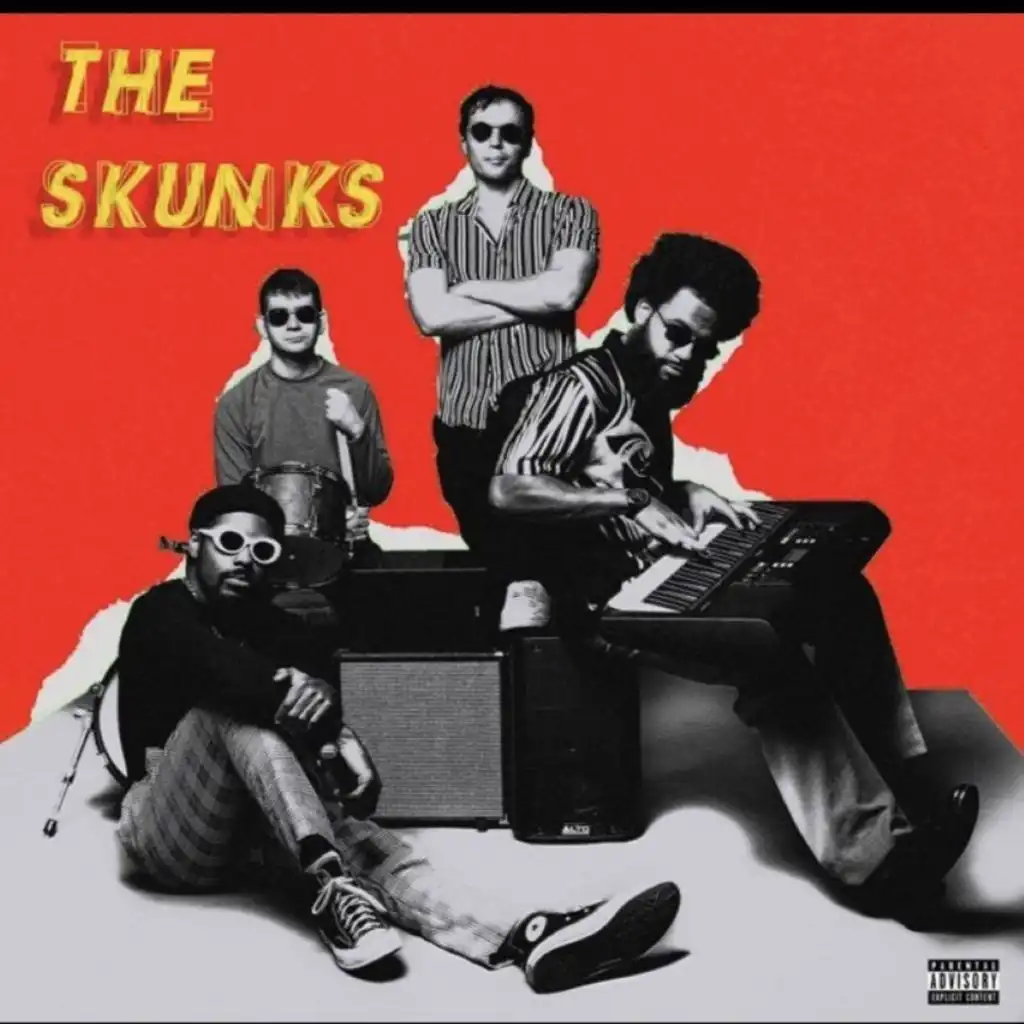 The Skunks