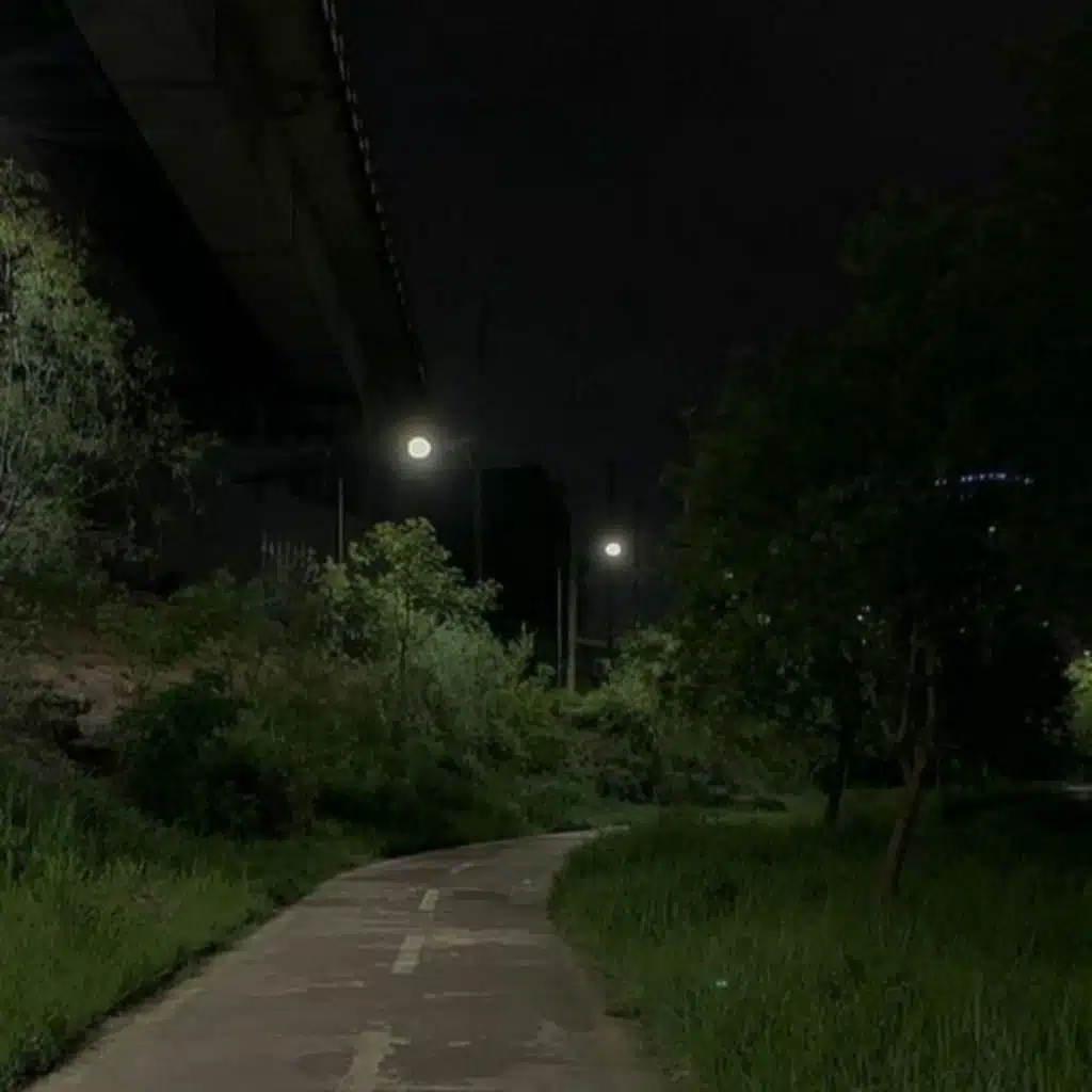 la lecon particuliere