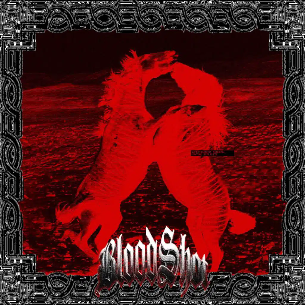 shooted ▄︻┻┳═一 TROUBADOUR EN DURAG ROUGE