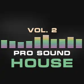 Pro Sound: House, Vol. 2