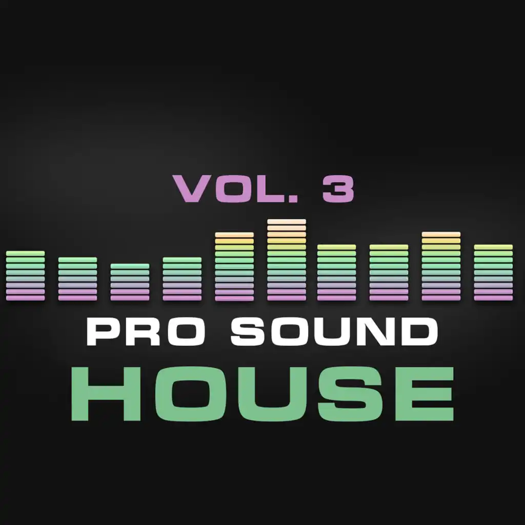 Pro Sound: House, Vol. 3