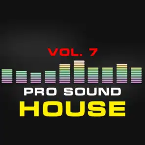 Pro Sound: House, Vol. 7