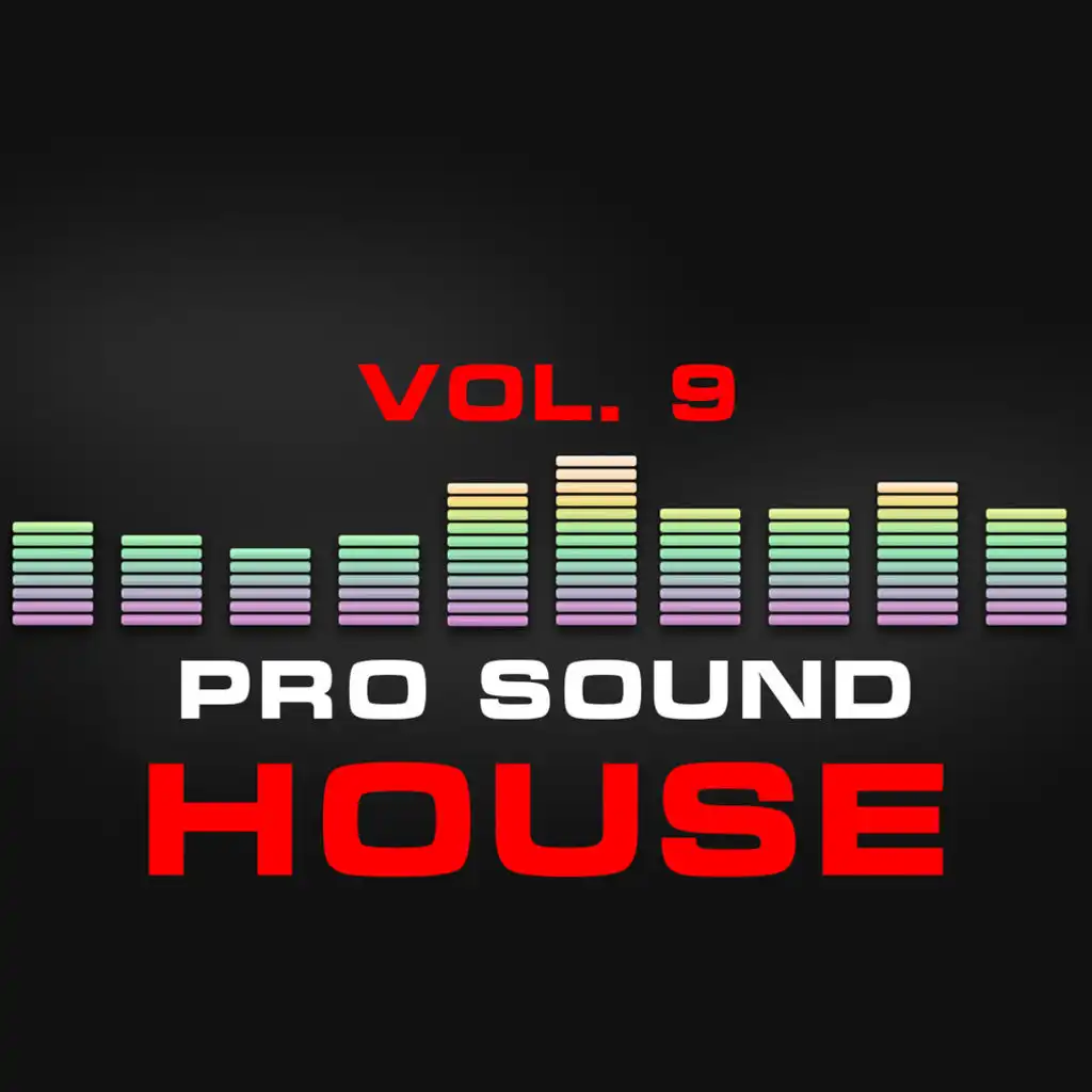 Pro Sound: House, Vol. 9