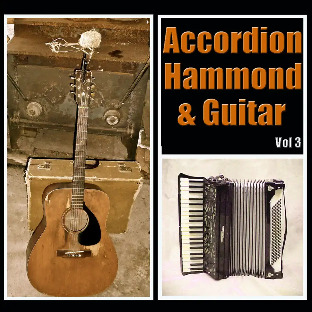 Accordion, Hammond & Guitar Vol 3
