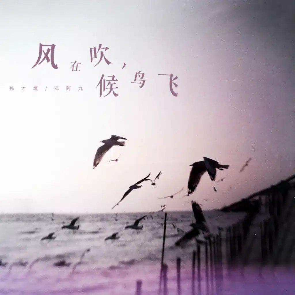 邓阿九 & 孙才垣