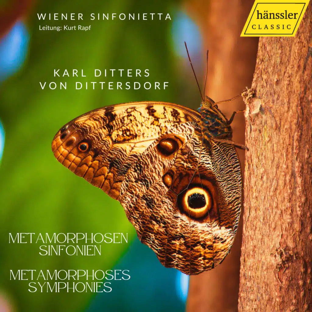 Symphony No. 2 in D Major, Kr. 74 "Der Sturz Phaëtons": IV. Finale. Vivace ma non troppo presto
