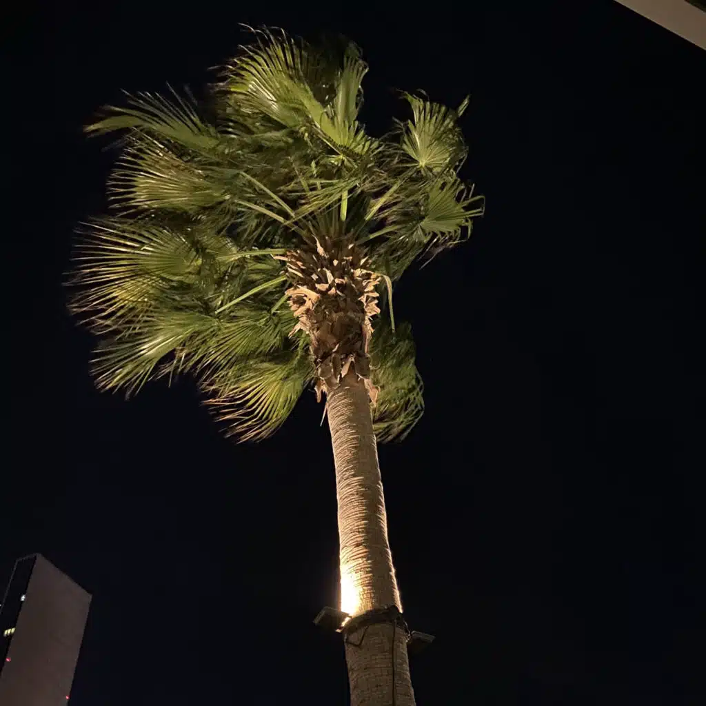 ١٤٢| الغضب😤