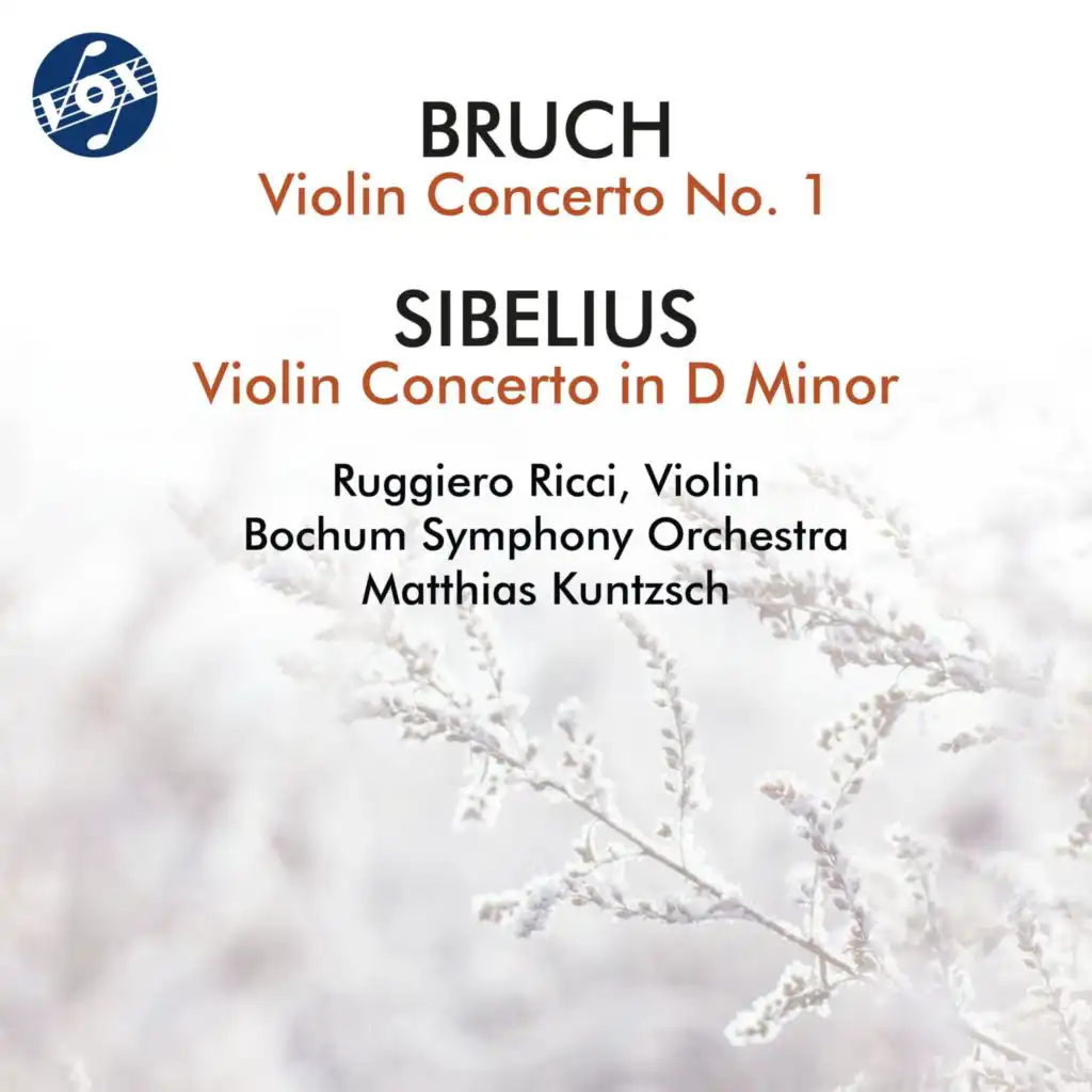 Violin Concerto No. 1 in G Minor, Op. 26: II. Adagio