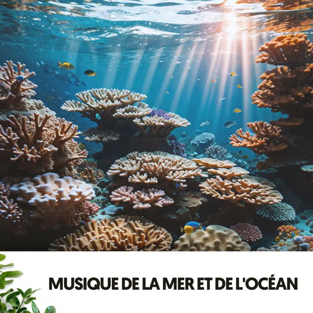 Musique de la Mer et de l'Océan : Symphonie des Vagues