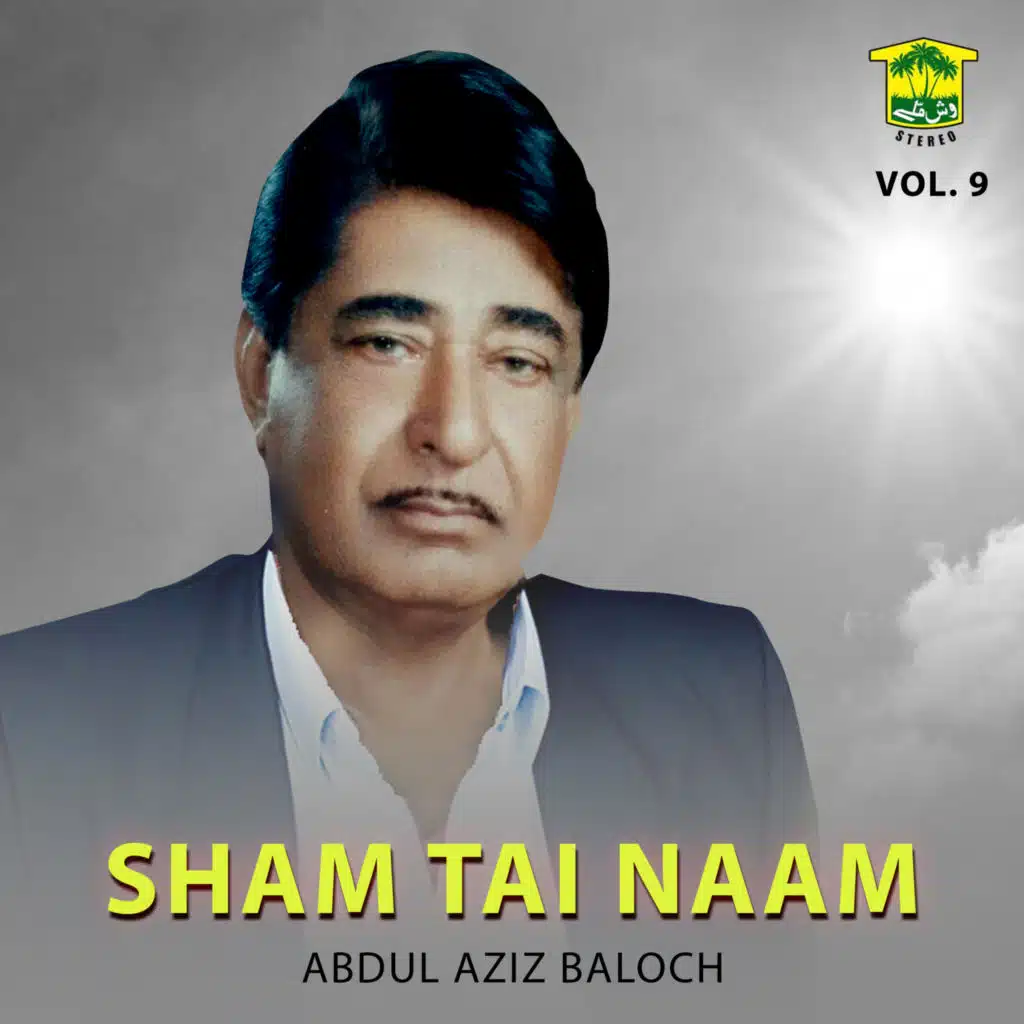 Sham Tai Naam, Vol. 9