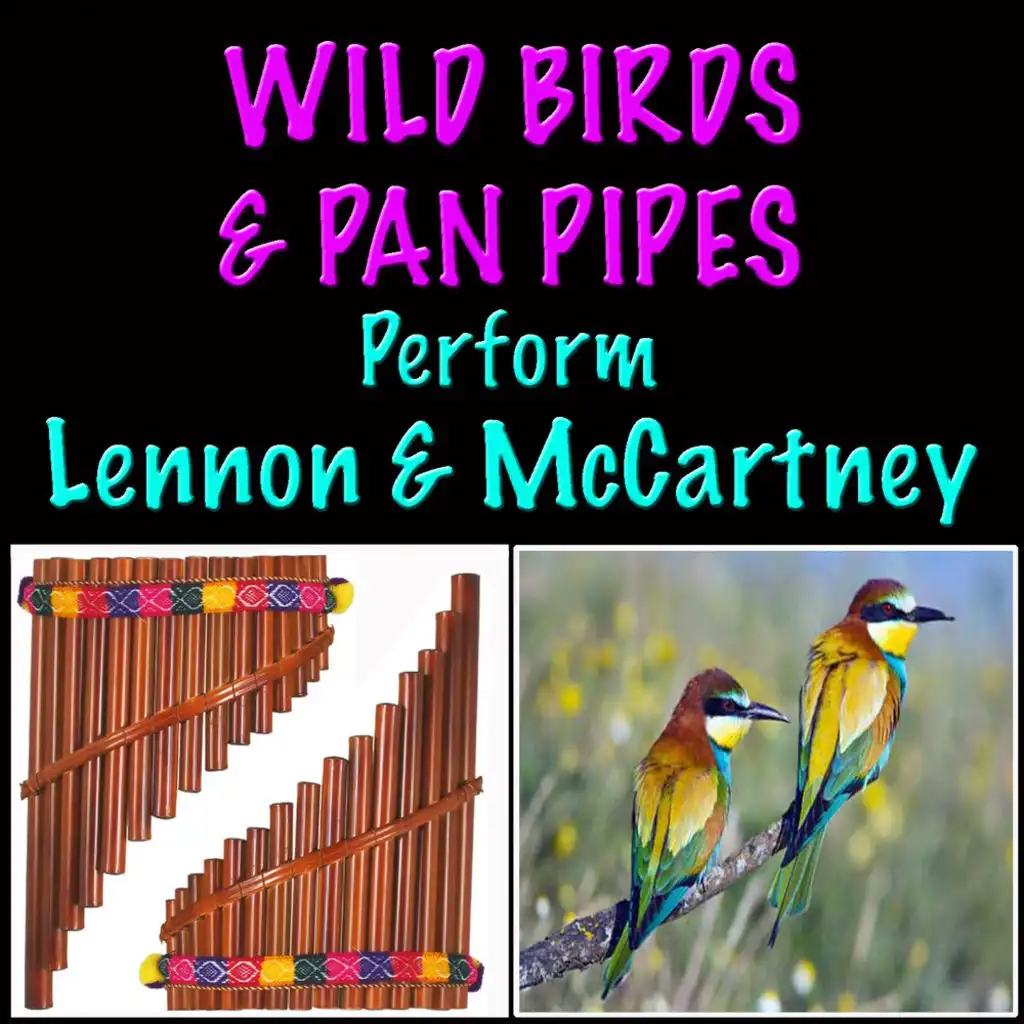 Wild Birds & Pan Pipes Perform Lennon & McCartney