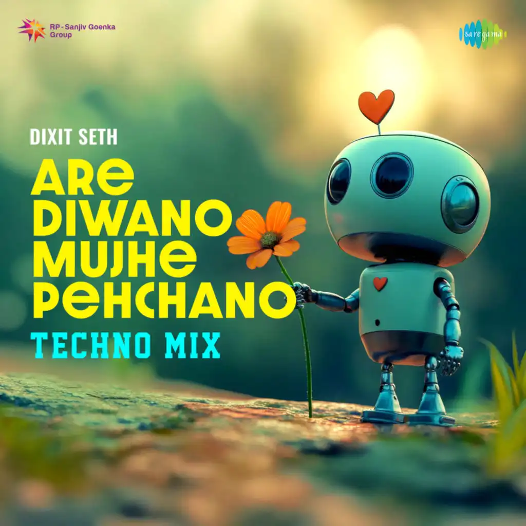 Are Diwano Mujhe Pehchano (Techno Mix) [feat. Dixit Seth]