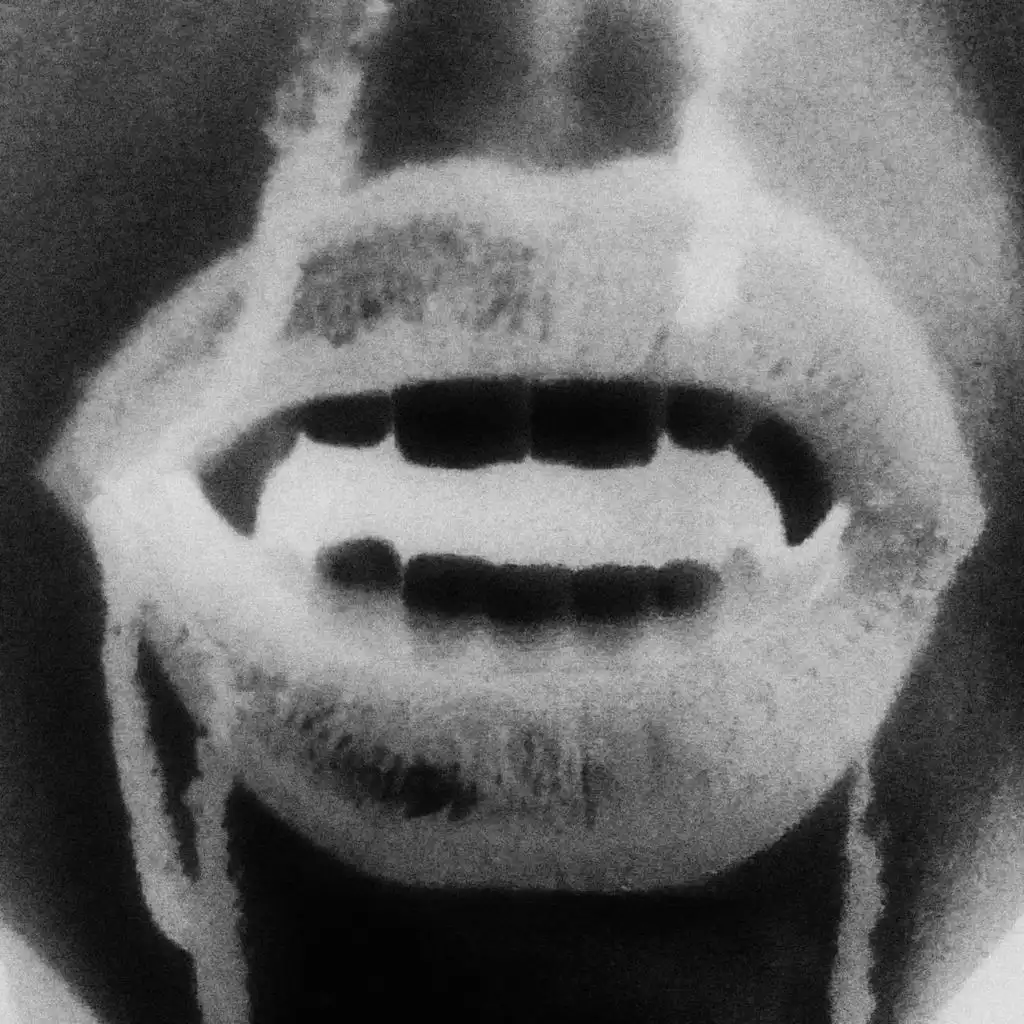 Fangs (Instrumental)