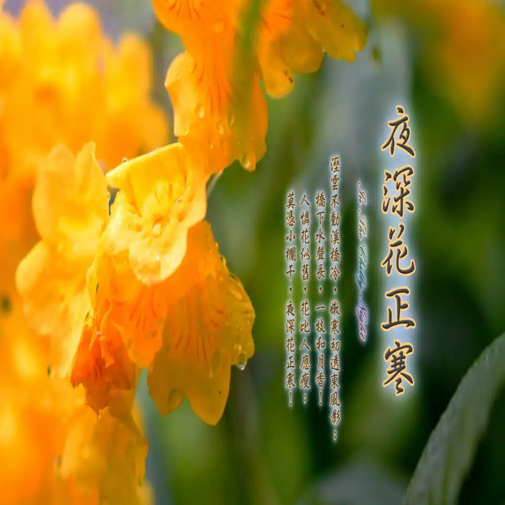 Mickey H. & 周志宏