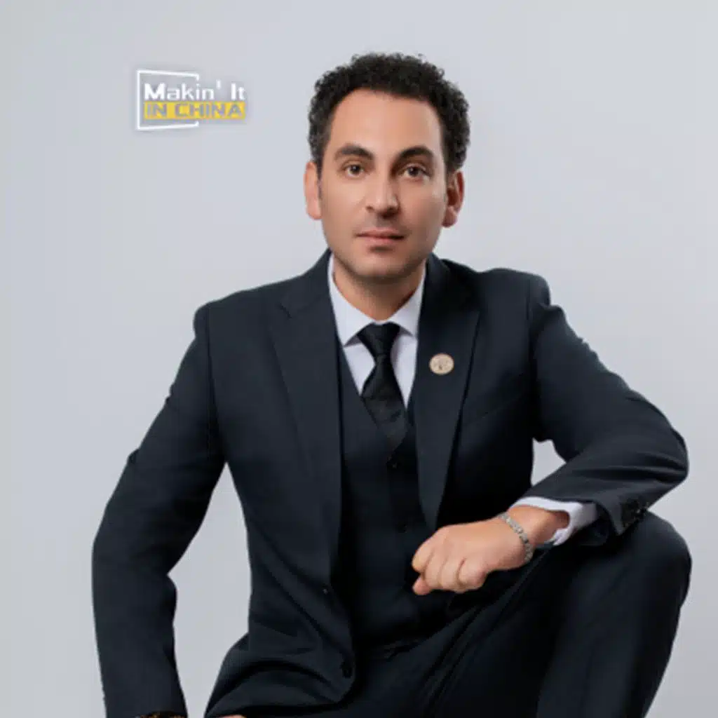 An Egyptian in the Middle Kingdom