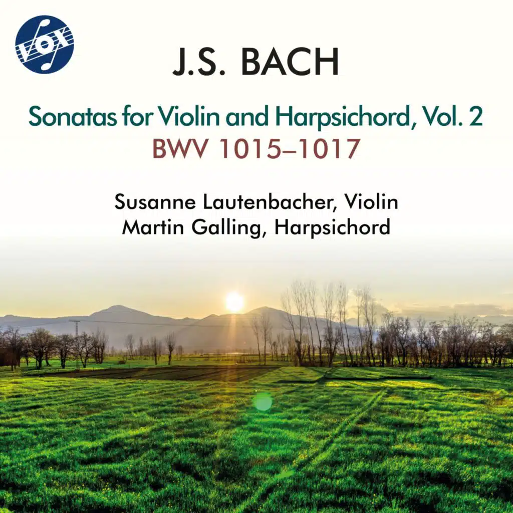 Violin Sonata No. 3 in E Major, BWV 1016: IV. Allegro