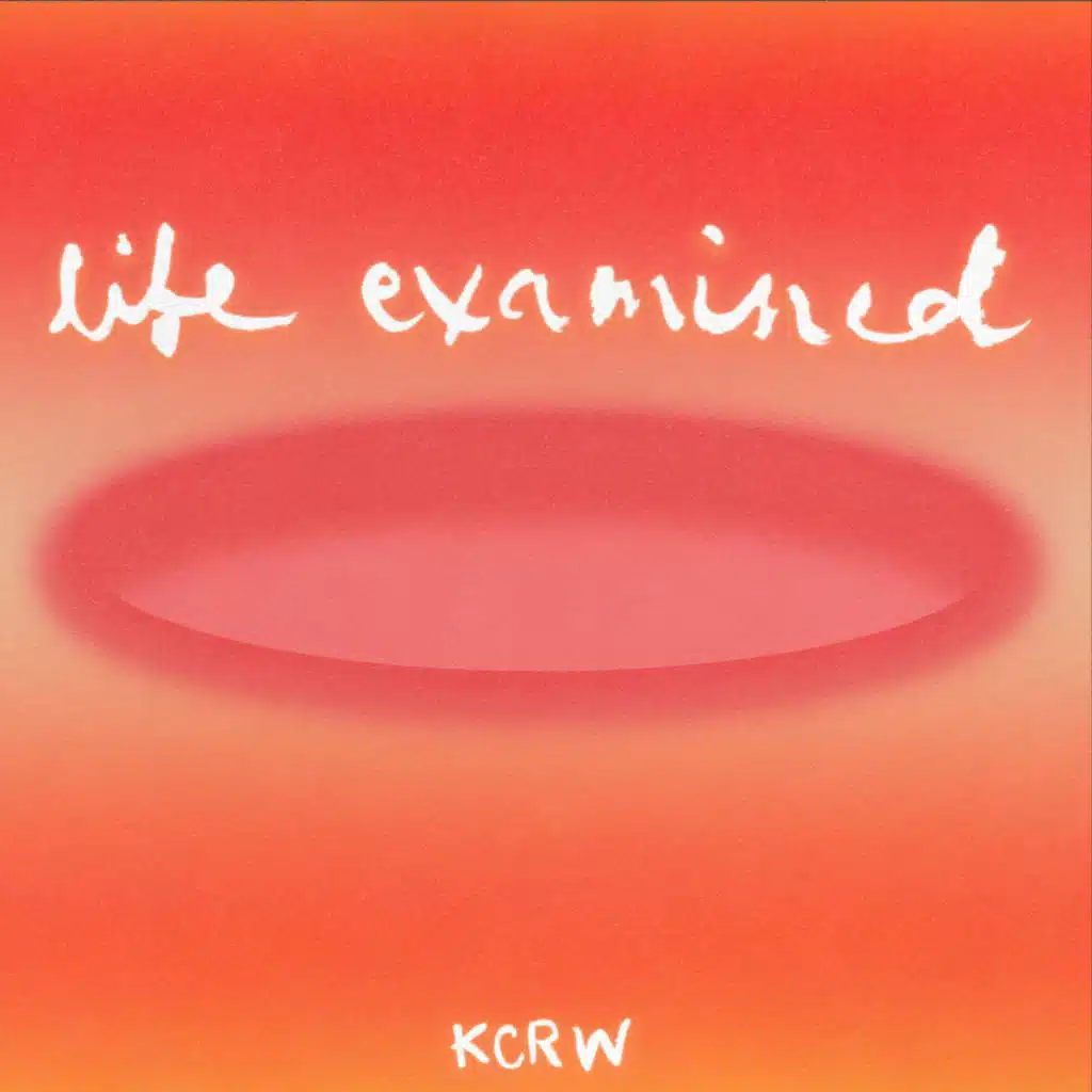 Midweek Reset: Finding a way (or path)