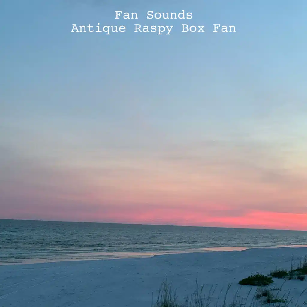 Antique Raspy Box Fan