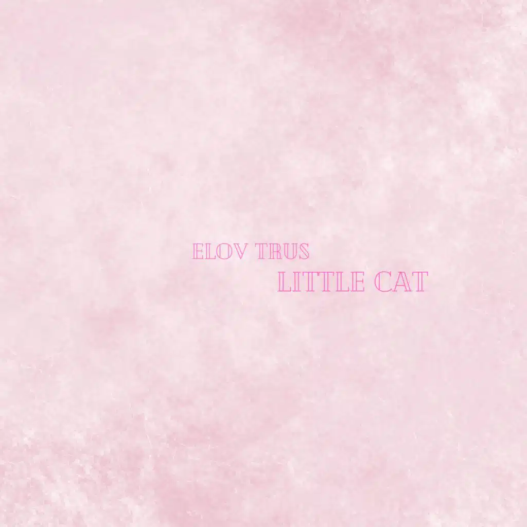 Little Cat