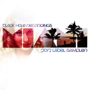 Black Hole Miami 2013 Label Sampler