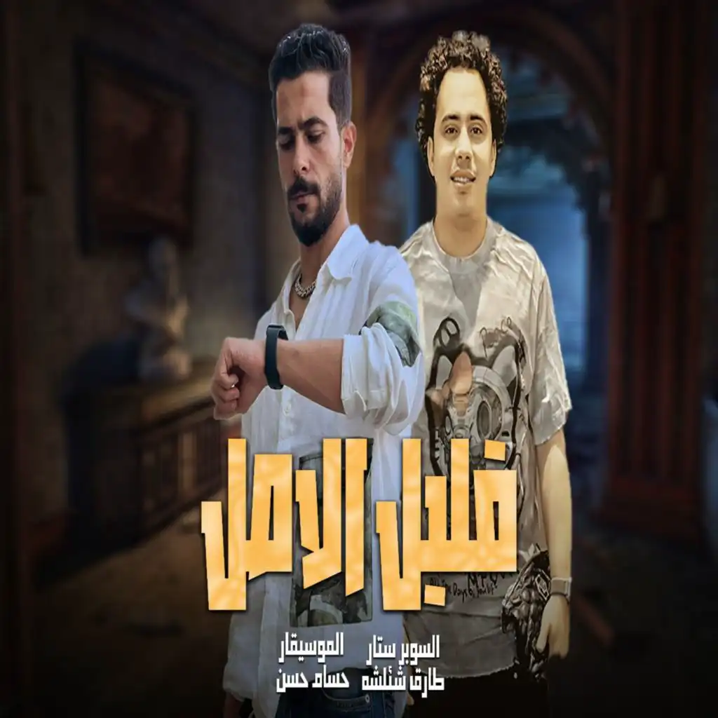 طارق شئلشه وحسام حسن