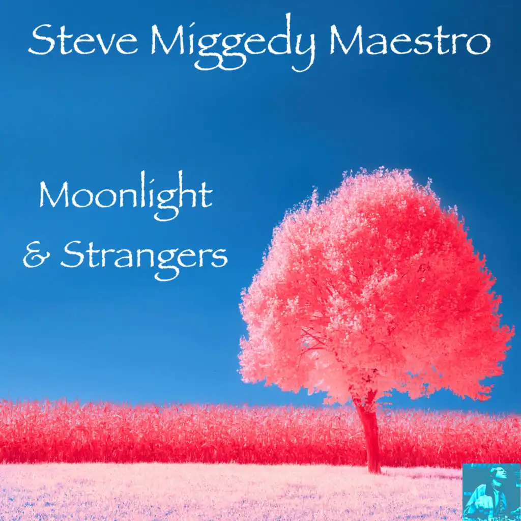 Steve Miggedy Maestro