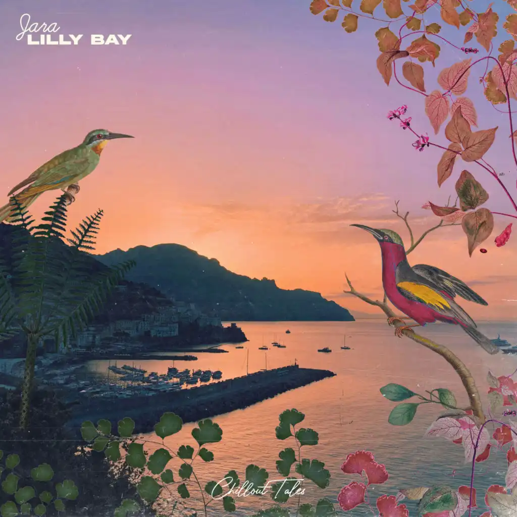 Lilly Bay