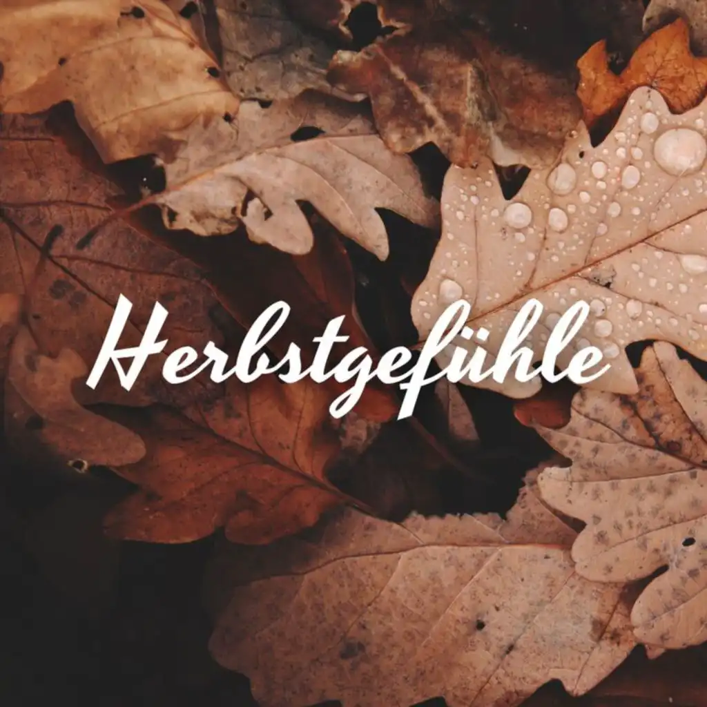 Herbstgefühle 2024