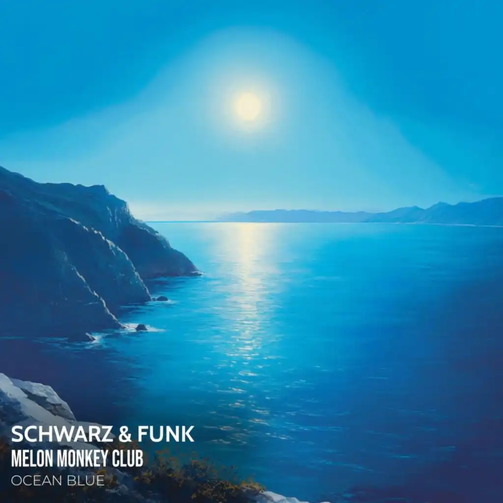 Schwarz & Funk & Melon Monkey Club