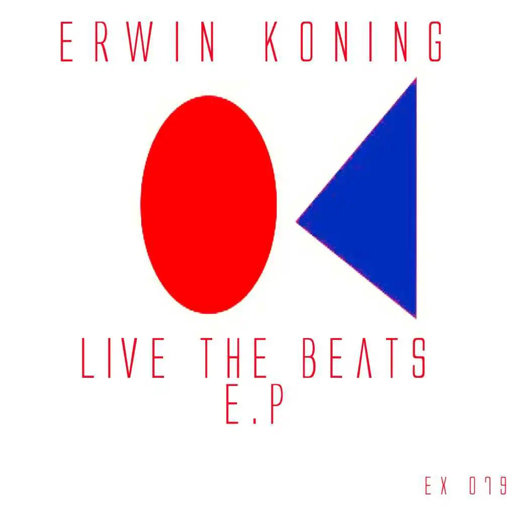 Erwin Koning
