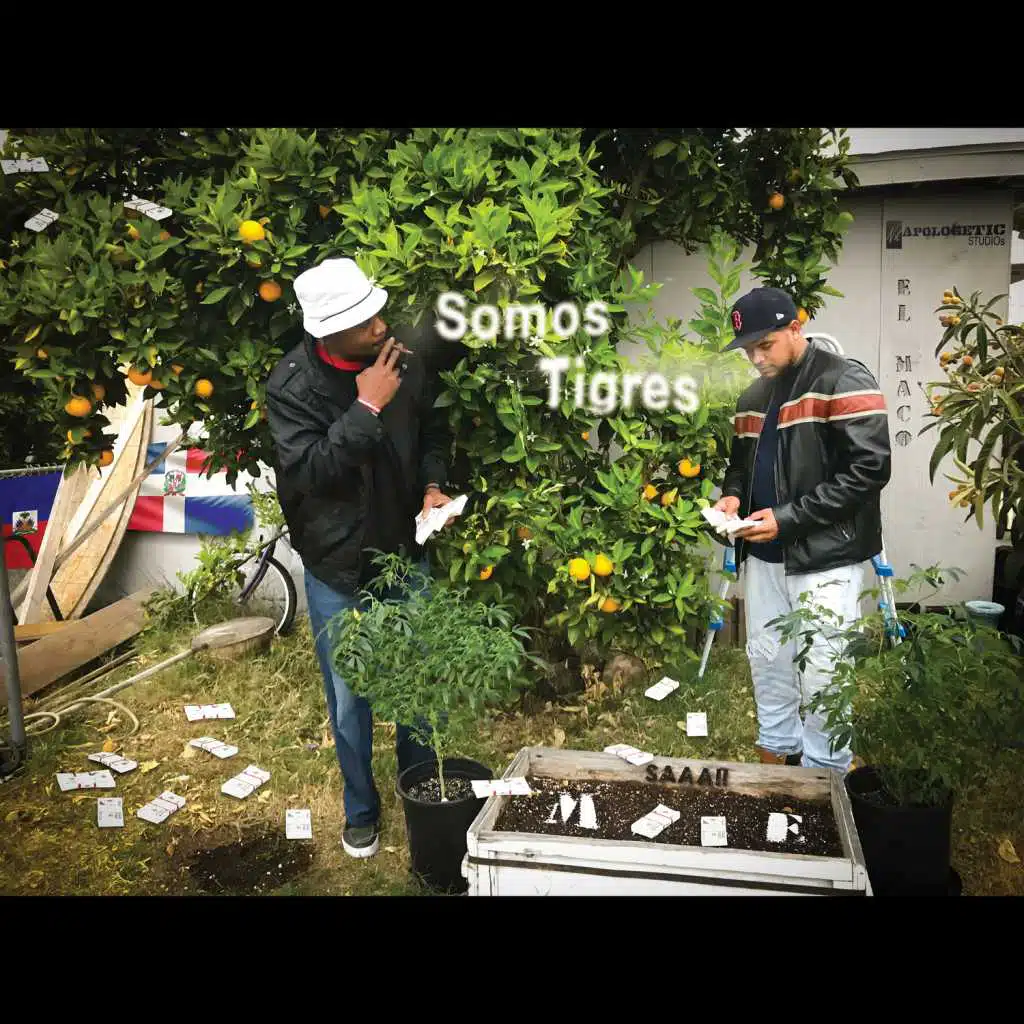 Somos Tigre (feat. Masada)