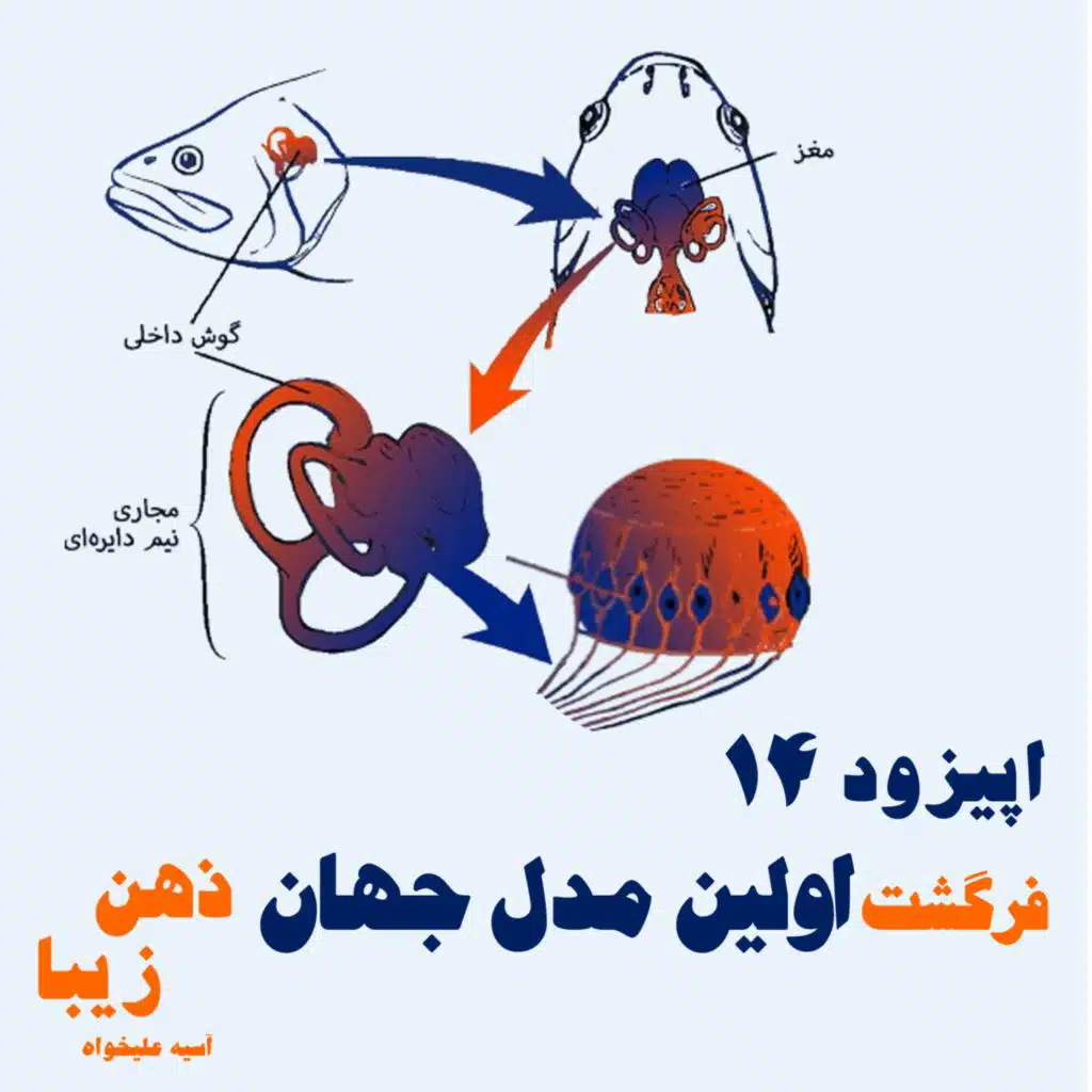 اپیزود 14- فرگشت اولین مدل جهان