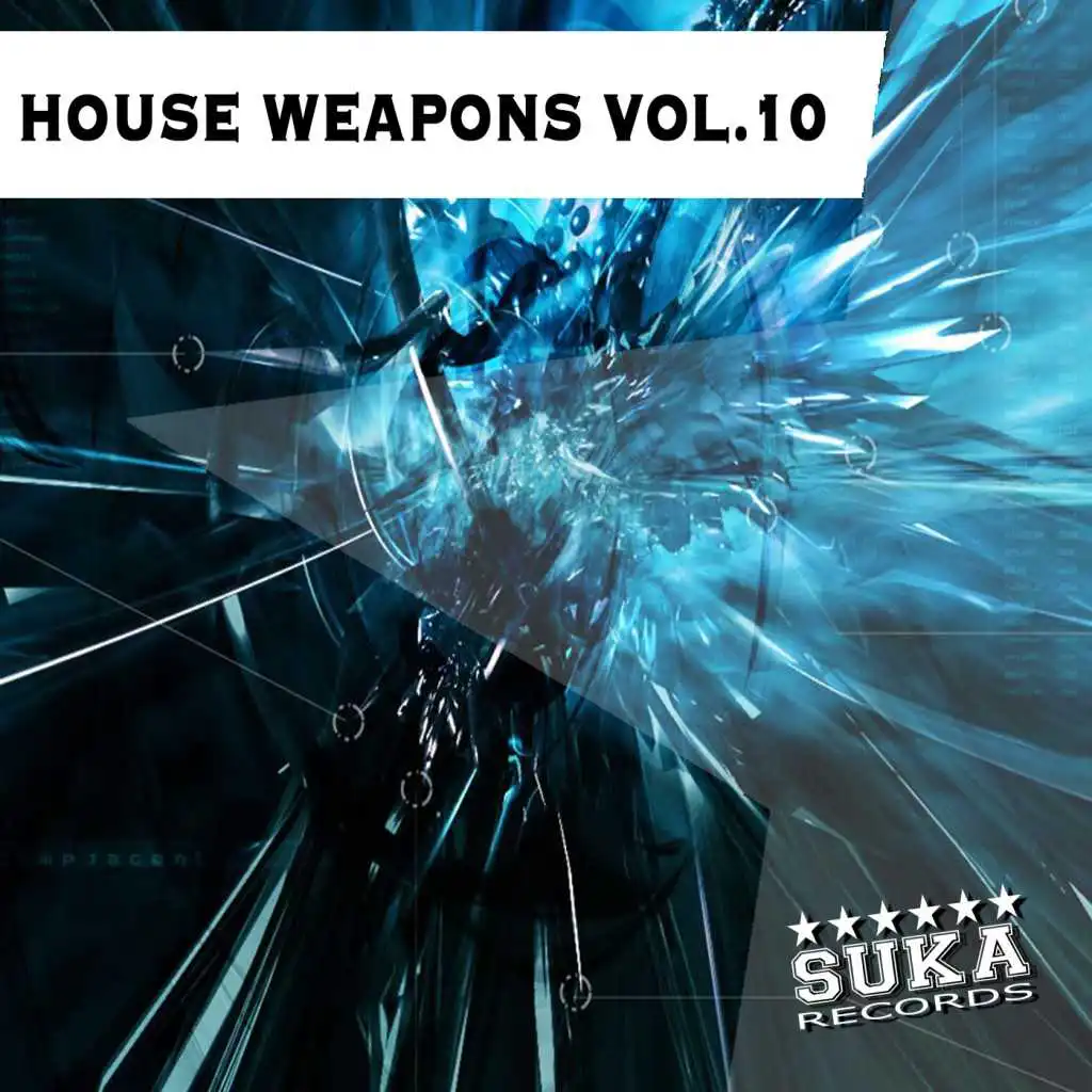 House Weapons, Vol. 10