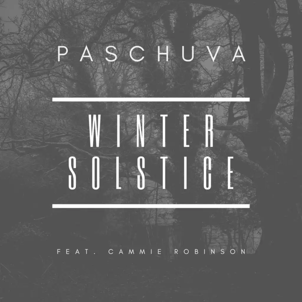 Winter Solstice (feat. Cammie Robinson)