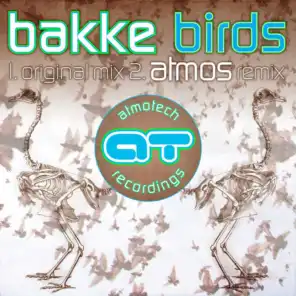 Birds (feat. Atmos)