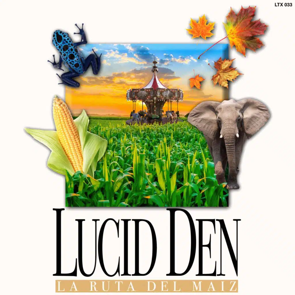 Lucid Den
