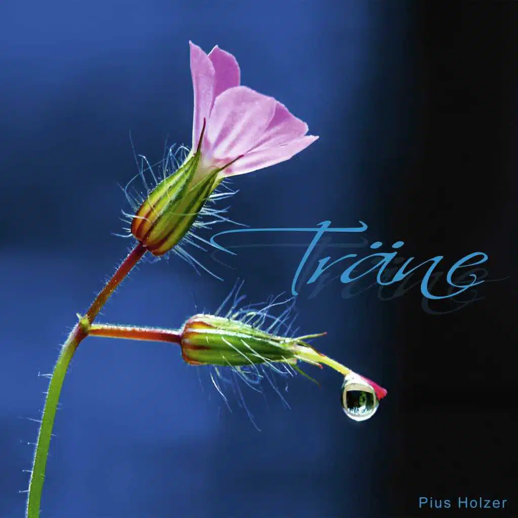 Träne