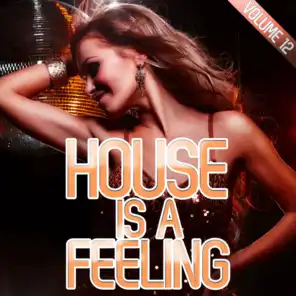 House Is a Feeling, Vol. 12