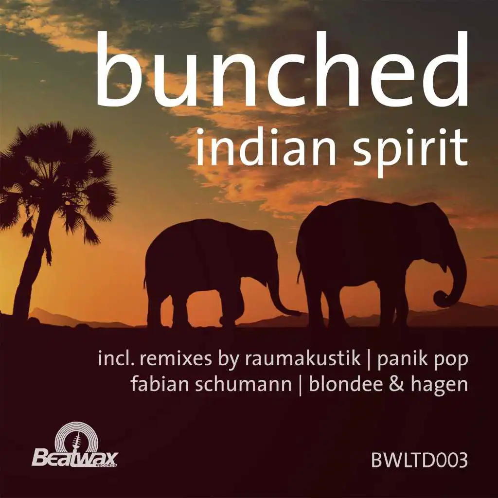 Indian Spirit (Fabian Schumann Remix)