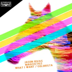 What I Want / Colorista