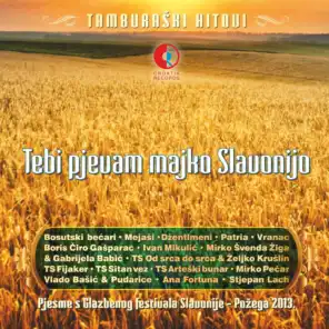 Tebi Pjevam Majko Slavonijo - Tamburaški Hitovi
