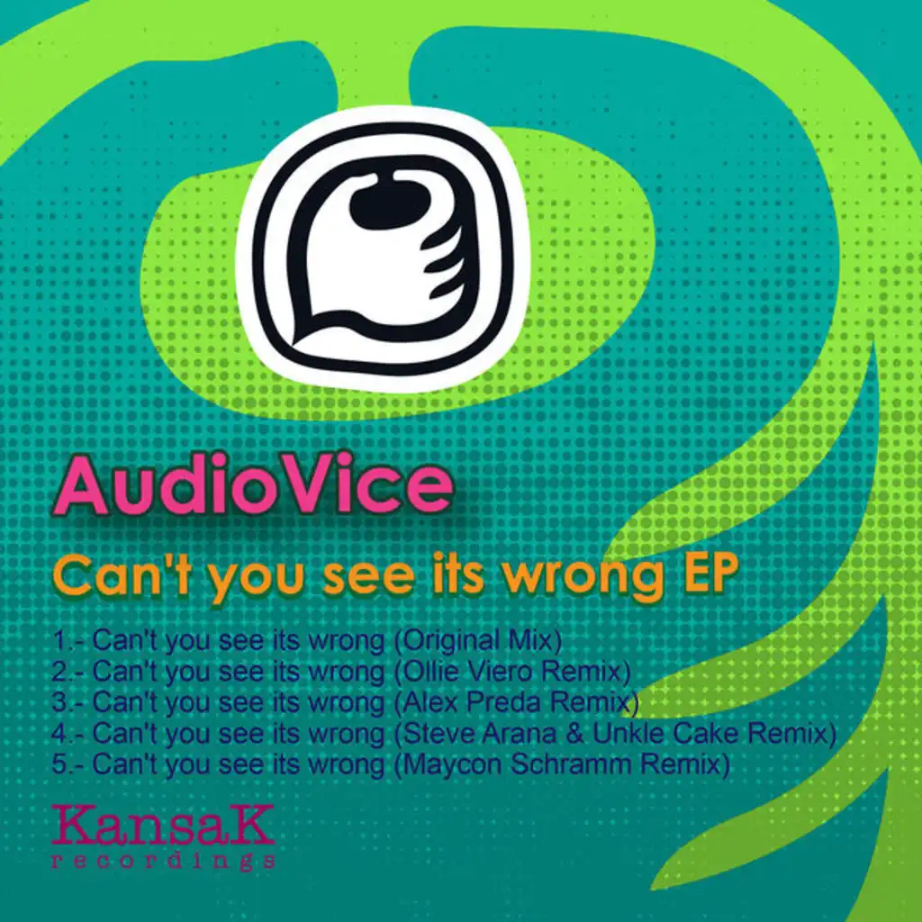 Can't you see it's wrong (Steve Arana & Unkle Cake Remix)