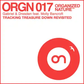 Tracking Treasure Down Revisited (Dyro Remix)