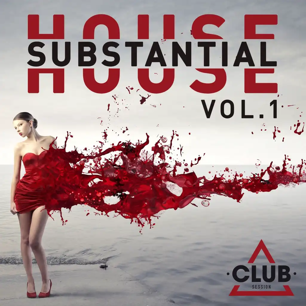 Substantial House, Vol. 1