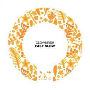 Fast Slow