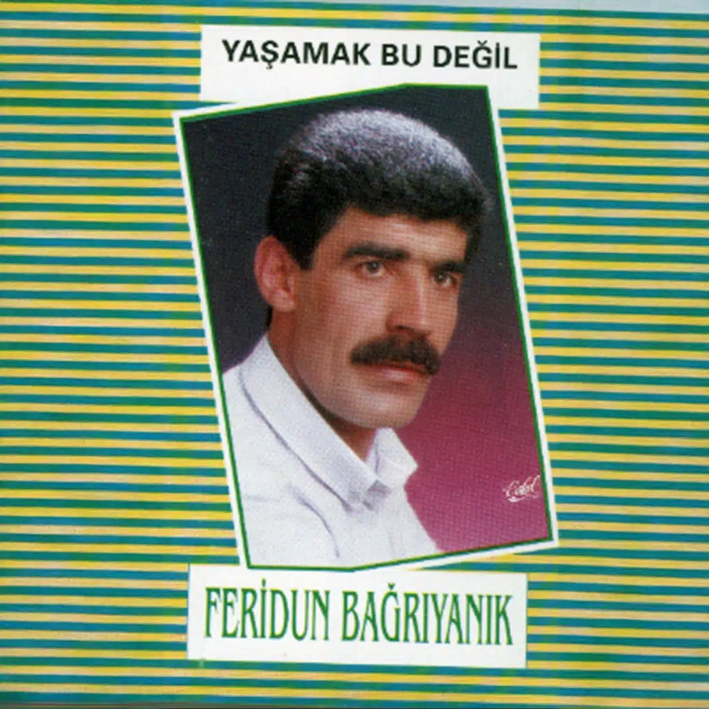 Yaşamak Bu Değil