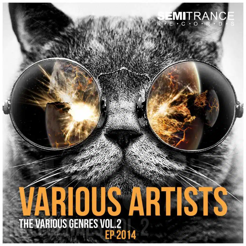 The Various Genres, Vol. 2 - EP 2014