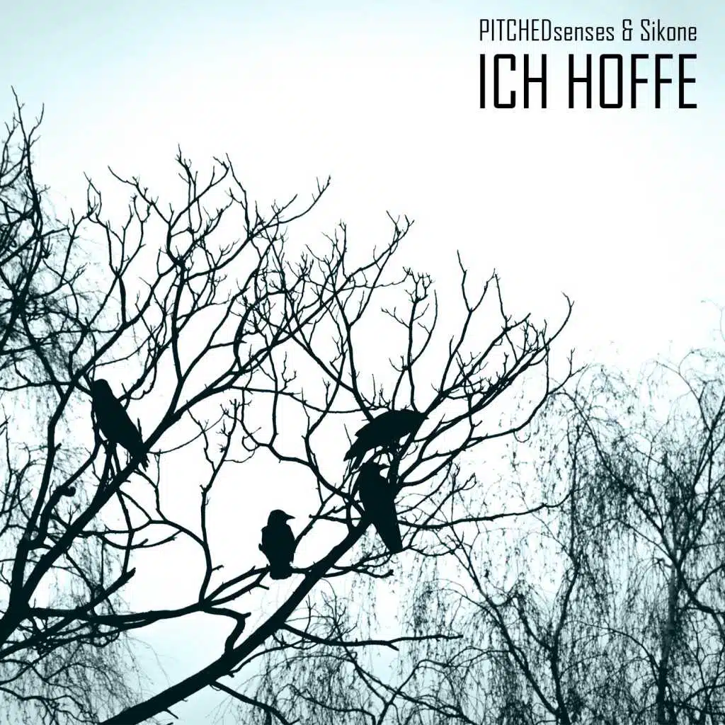 Ich hoffe (Radio Mix)